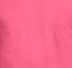 Précommande - Assiette Chat - Rose safety