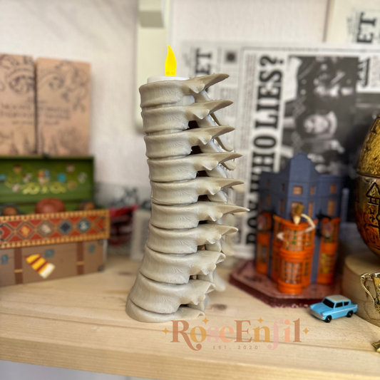 Décoration tout droit sortie du bureau de Remus (GRAND)